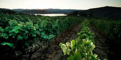 Bodegas Cunqueiro