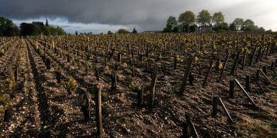 Château Pichon-Longueville Comtesse Lalande