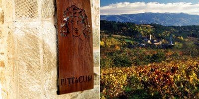 Viñedos y Bodegas Pittacum