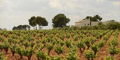 Bodegas Hispano-Suizas